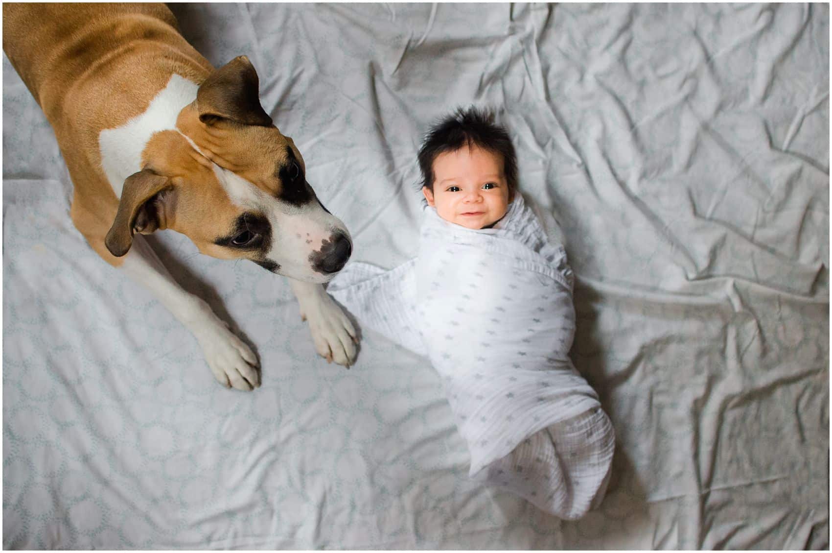family dog with smiling and awake newborn baby laying on bed