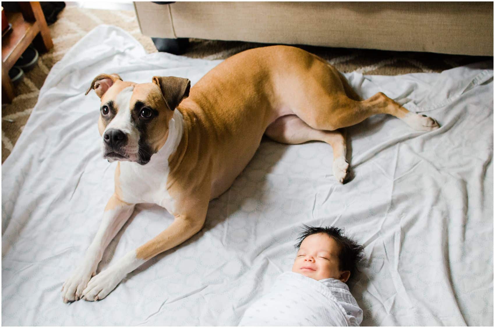 newborn-photographer-manhattan-NYC-upper-east-side_0940.jpg