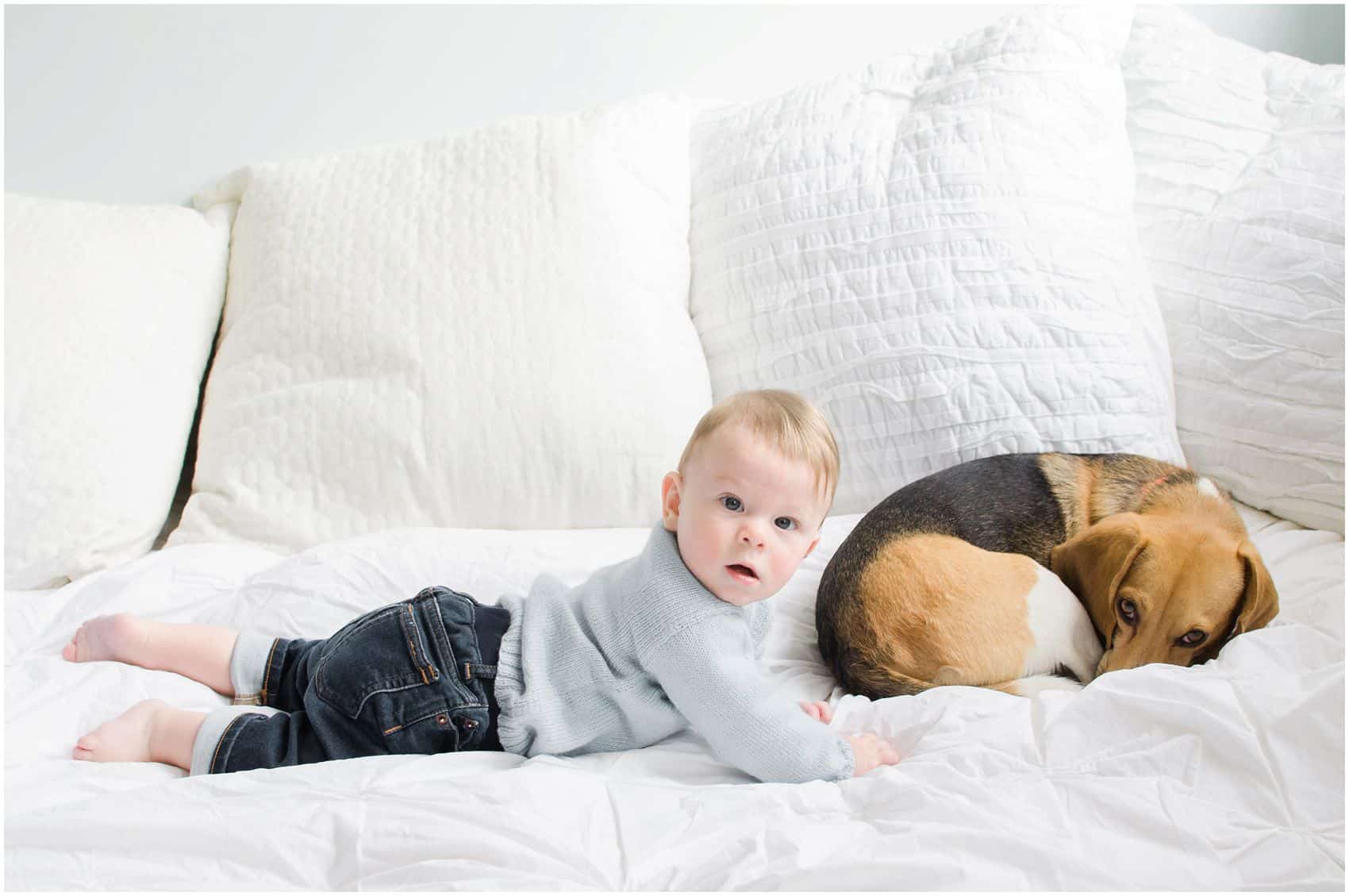 baby boy with his brown dog in a family portrait with pets