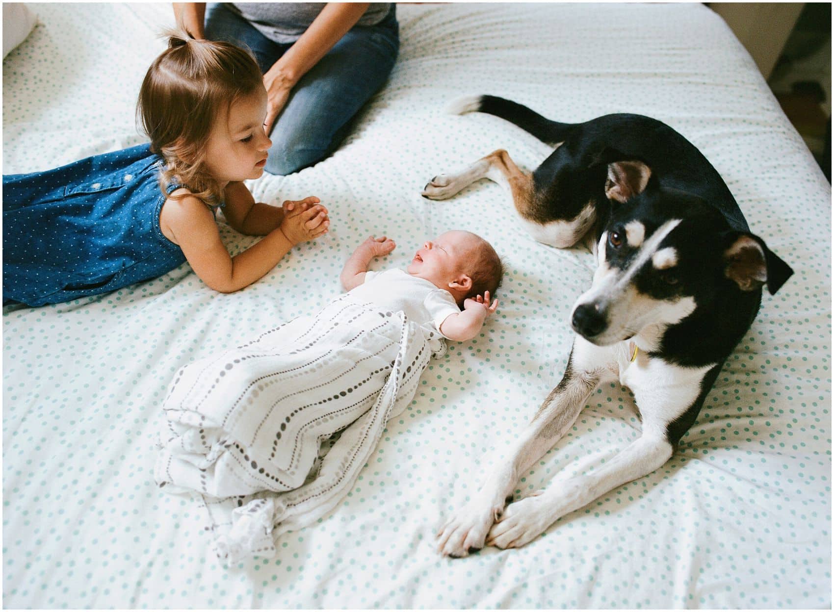 baby girl with a dog and older sister in newborn photos at home