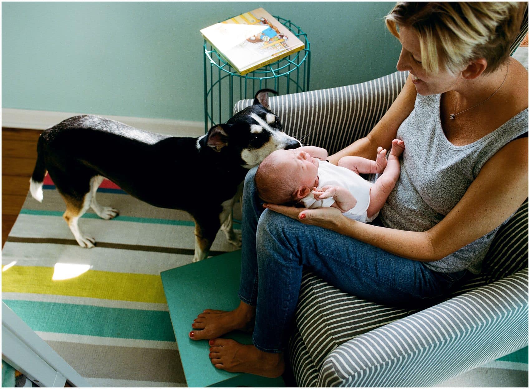 dog licking a baby girl at newborn photography session