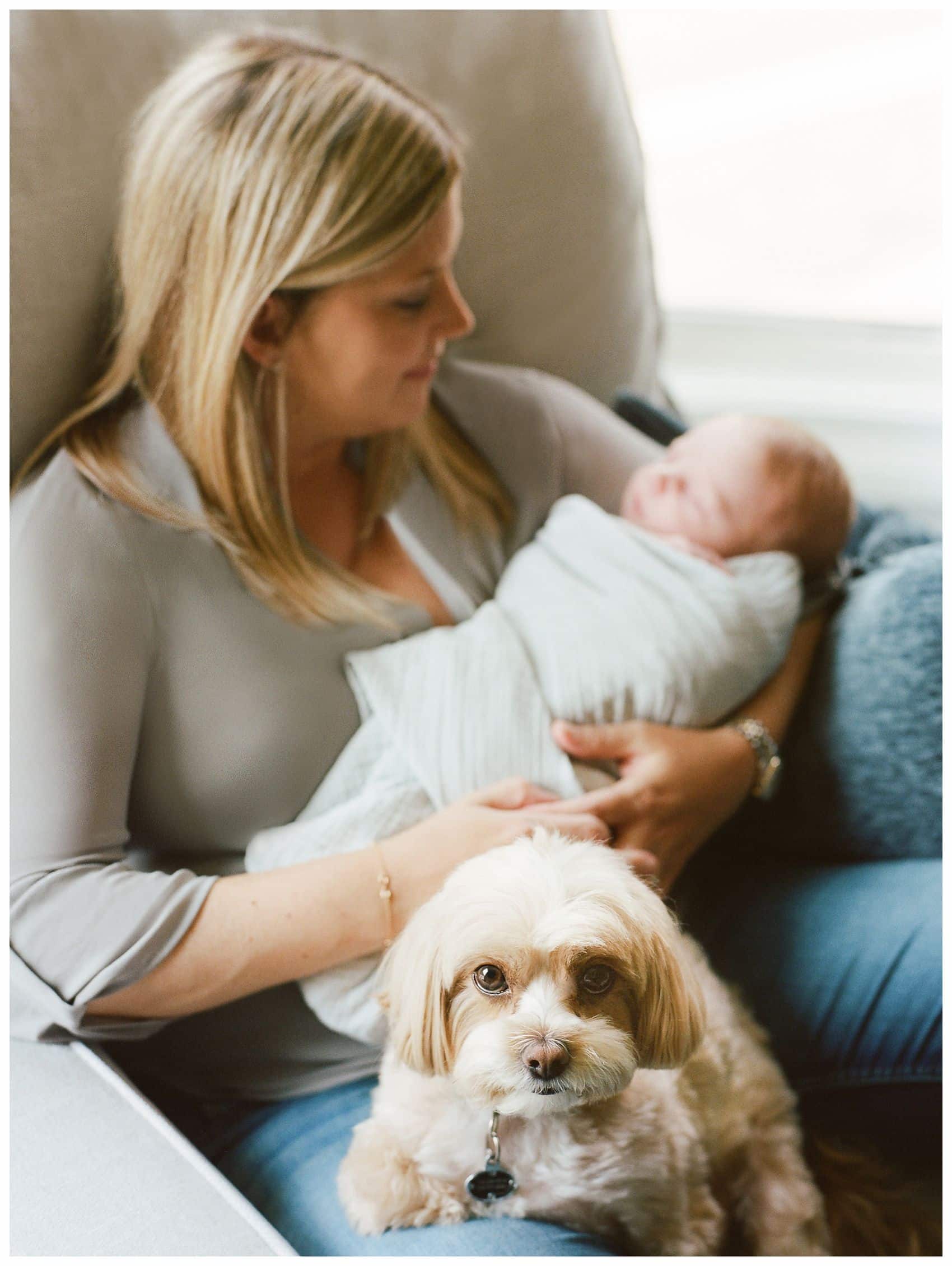 Tips on How to choose best newborn photographer with mom snuggling with a newborn baby boy and family dog
